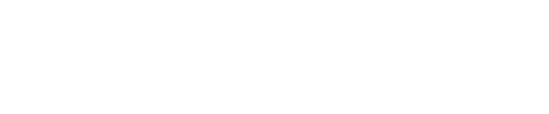 Ace Combat X: Skies of Deception logo in white