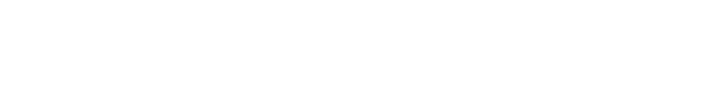 Ace Combat Zero: The Belkan War logo in white