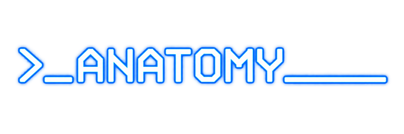 Anatomy logo on a transparent background
