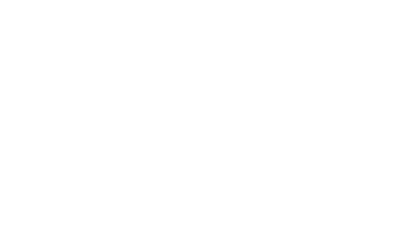 Arctic Eggs logo in white
