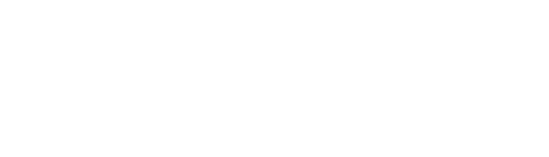 Arma Reforger logo in white