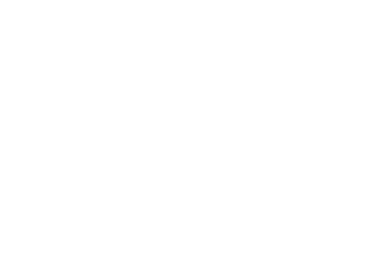 Astro Bot logo in white