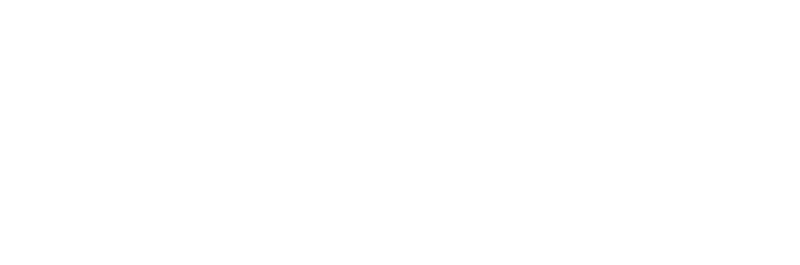 Catly logo in white