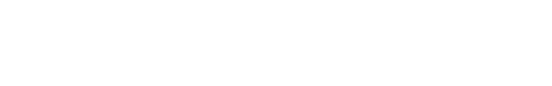 Colin McRae Rally 2.0 logo in white