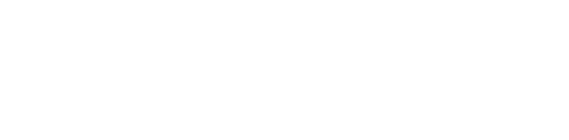 Digimon Survive logo in white