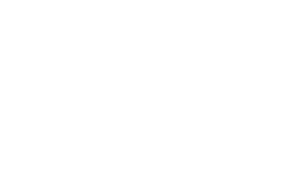 Disney Illusion Island logo in white