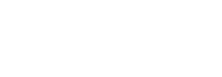 Half-Life: Alyx logo in white