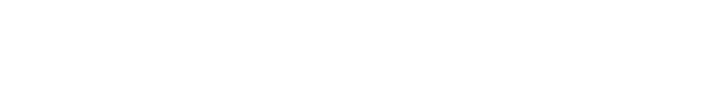 Heroes & Generals logo in white