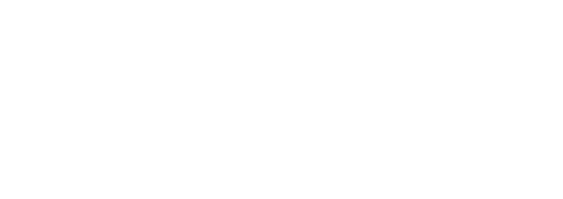 Horizon Forbidden West logo in white