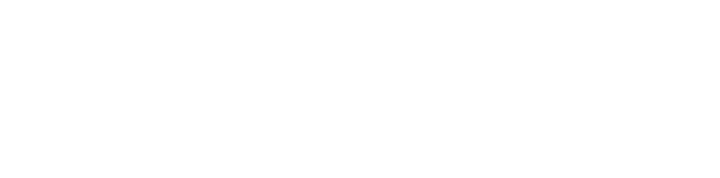 Need for Speed: ProStreet logo in white