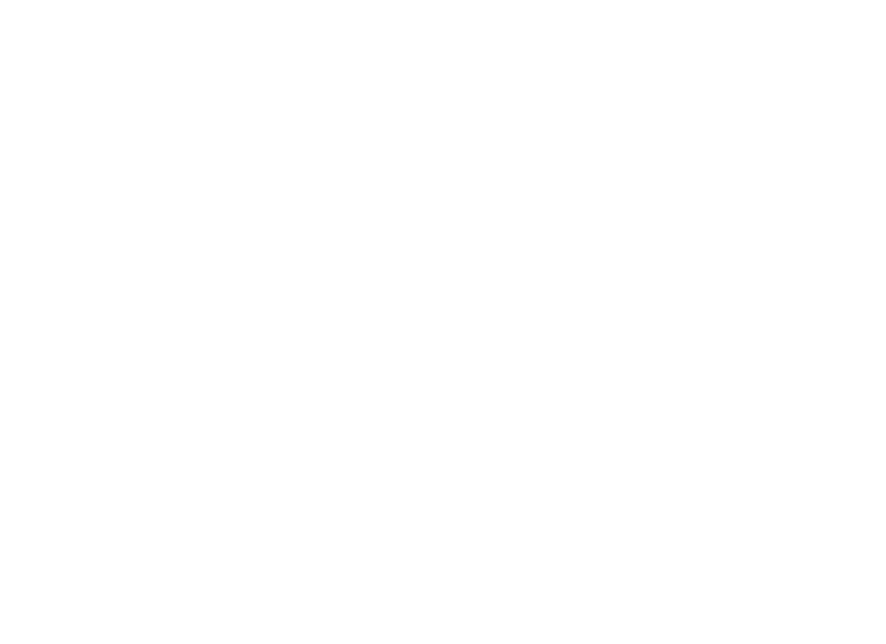 Nine Sols logo in white