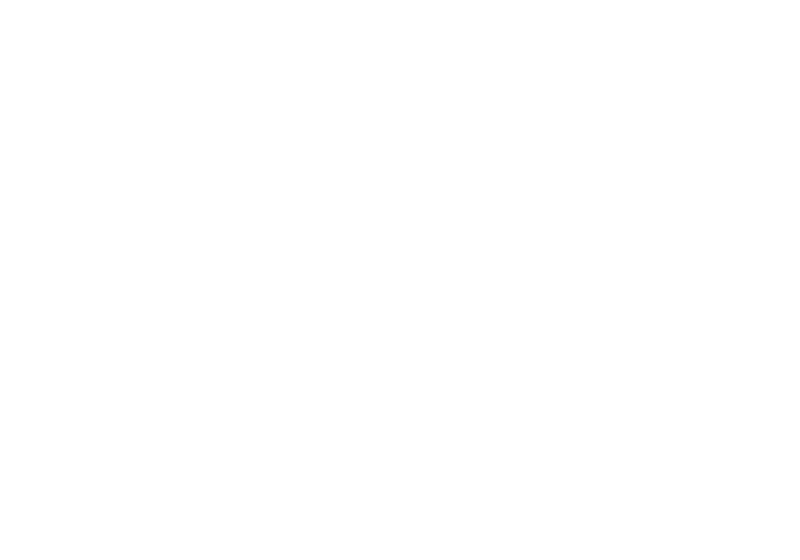Panzer Elite logo in white