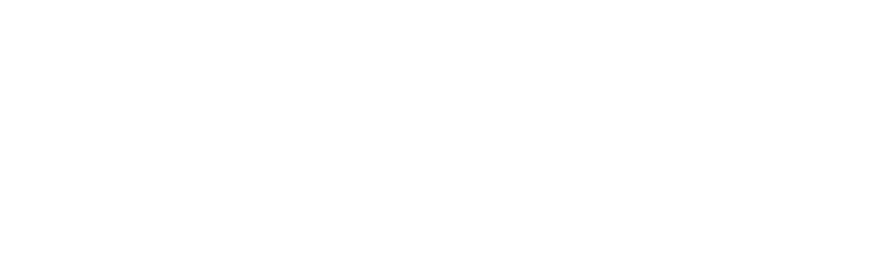 Perfect Dark logo in white