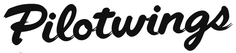 Pilotwings logo in black