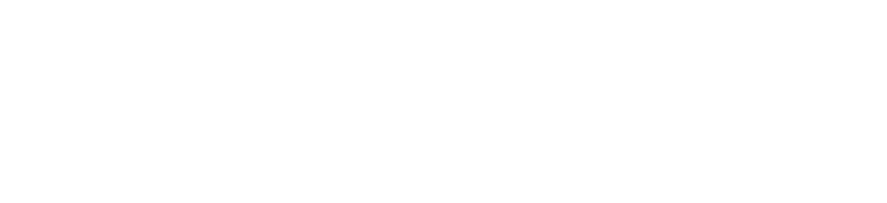 Pilotwings logo in white