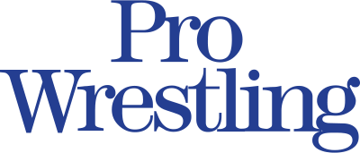 Pro Wrestling logo on a transparent background