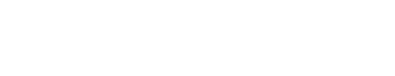 Secret Files 2: Puritas Cordis logo in white