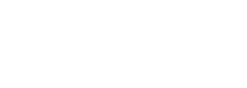 Shin Megami Tensei IV logo in white