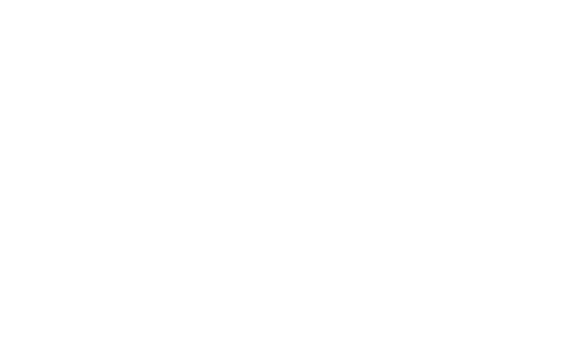 SSX logo in white