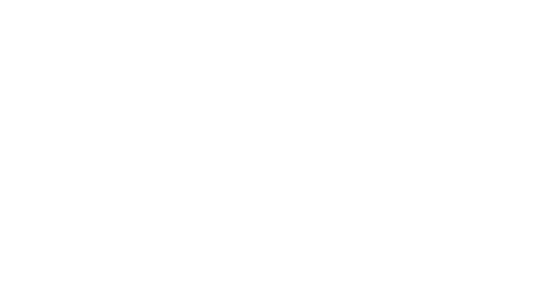 The Legend of Zelda: The Wind Waker HD logo in white