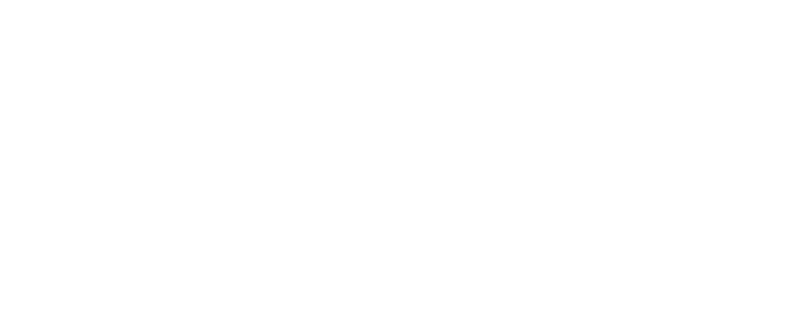 The Legend of Zelda: Twilight Princess logo in white