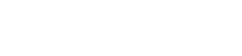 Theme Park logo in white