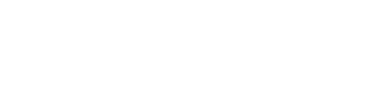 VA-11 Hall-A logo in white