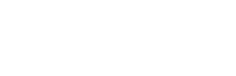 Wuthering Waves logo in white